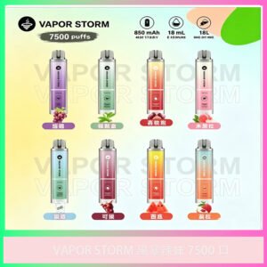 VAPOR STORM風暴辣妹|7500口拋棄式電子煙|大容量|多口味|台灣現貨