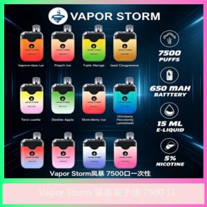 Vapor Storm風暴｜7500口一次性霧化器｜大容量｜多口味｜台灣現貨